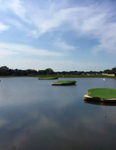 the palms golf club at forest lakes 13