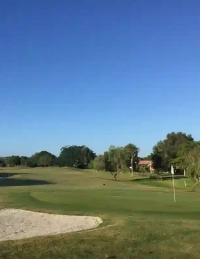 the palms golf club at forest lakes 20