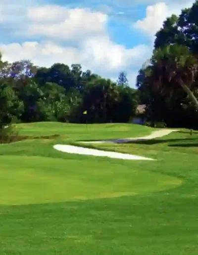the palms golf club at forest lakes 38